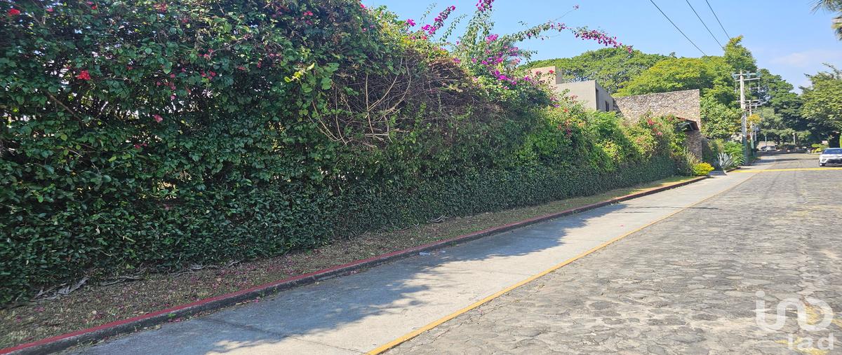 Foto de terreno habitacional en venta en las quintas , las quintas, cuernavaca, morelos, 0 No. 05