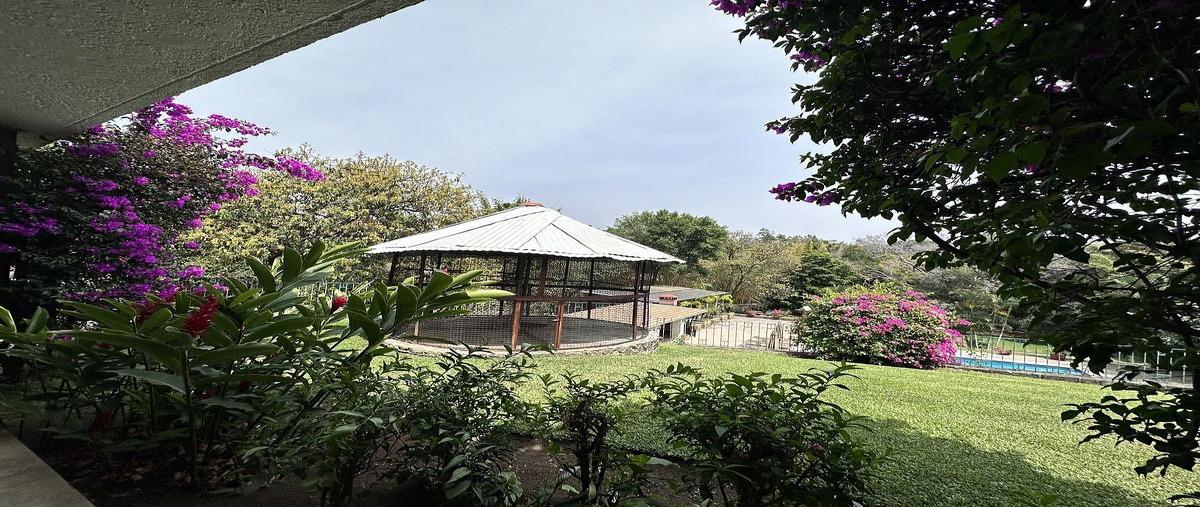 Foto de casa en venta en las quintas , las quintas, cuernavaca, morelos, 31041768 No. 03