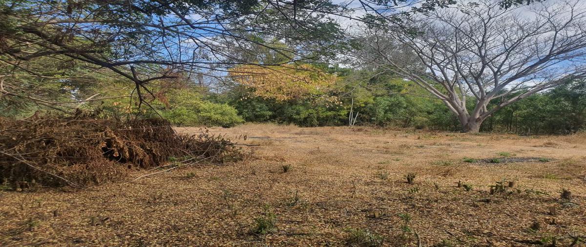 Foto de terreno habitacional en venta en las sabinas s/n , laguna de san pedro, navolato, sinaloa, 25470417 No. 03