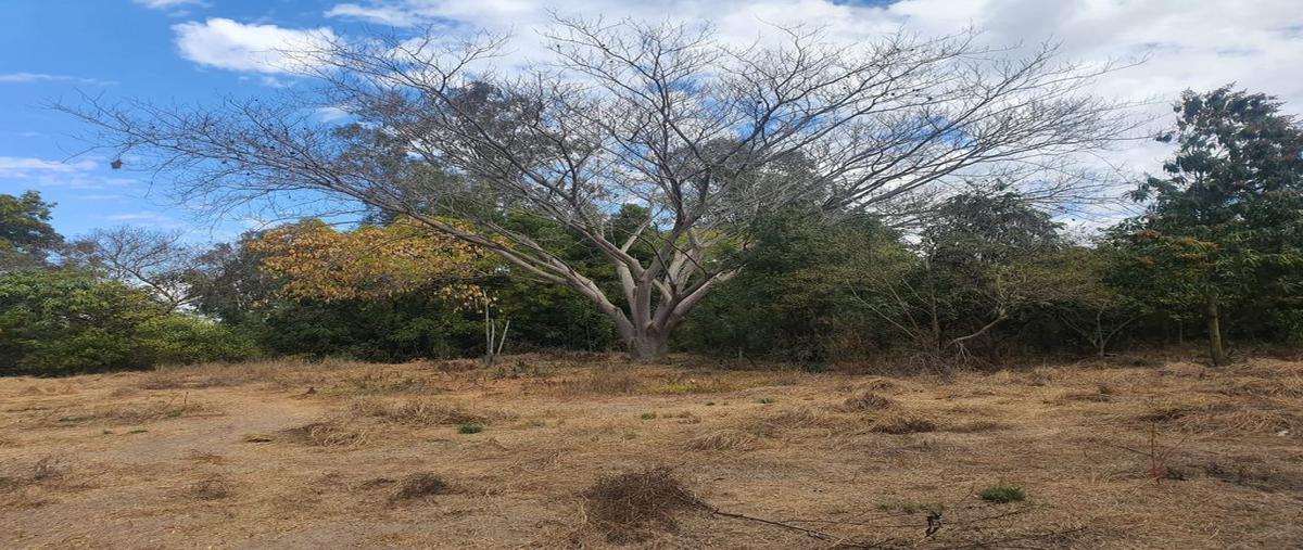 Foto de terreno habitacional en venta en las sabinas s/n , laguna de san pedro, navolato, sinaloa, 25470417 No. 04