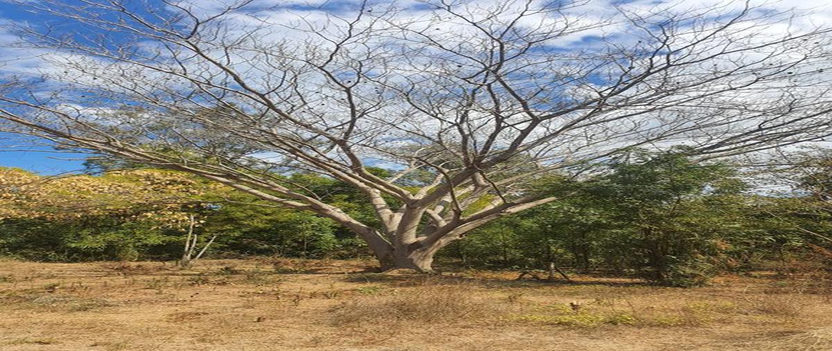 Foto de terreno habitacional en venta en las sabinas s/n , laguna de san pedro, navolato, sinaloa, 25470417 No. 05