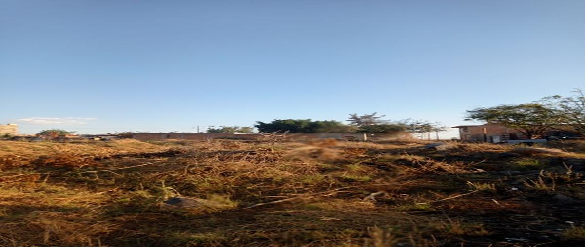 Foto de terreno habitacional en venta en las torres 10, el zalate, san pedro tlaquepaque, jalisco, 24877422 No. 03