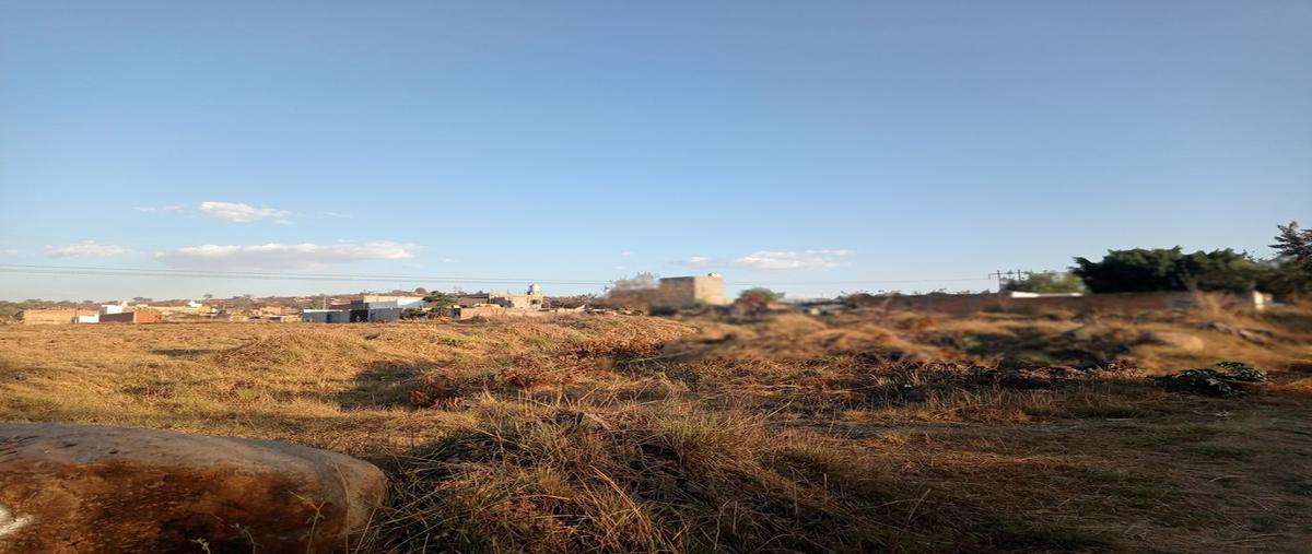 Foto de terreno habitacional en venta en las torres 10, el zalate, san pedro tlaquepaque, jalisco, 24877422 No. 05