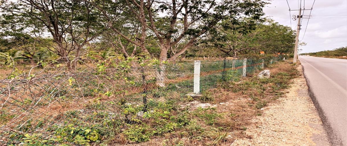 Foto de terreno habitacional en venta en  , las torres, benito juárez, quintana roo, 20037086 No. 03