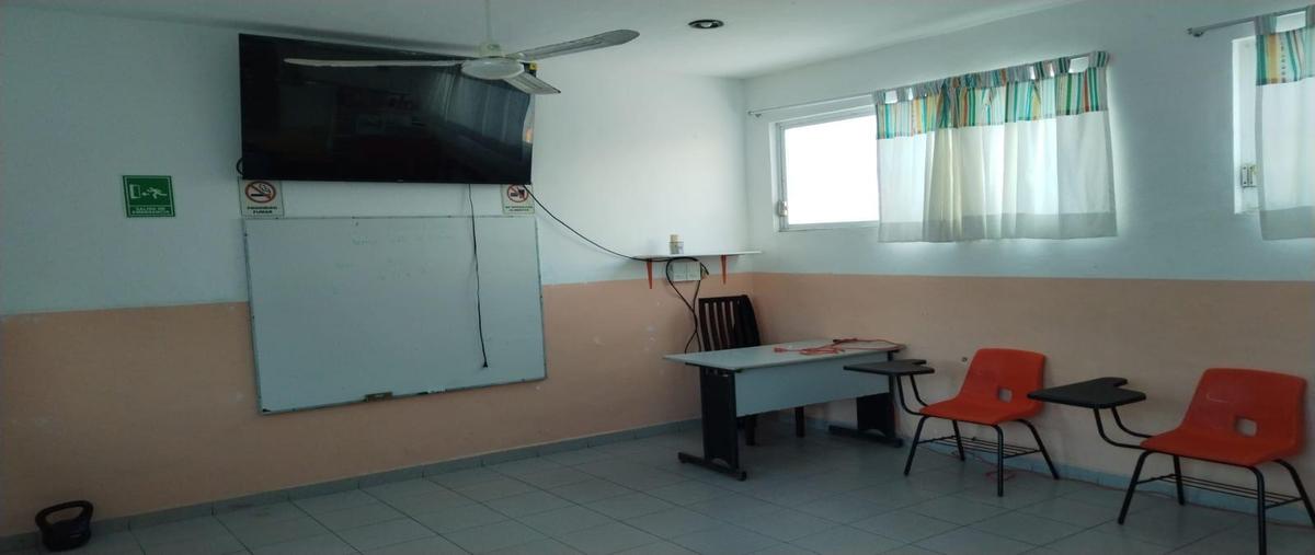 Foto de edificio en renta en  , las torres, benito juárez, quintana roo, 31013311 No. 05