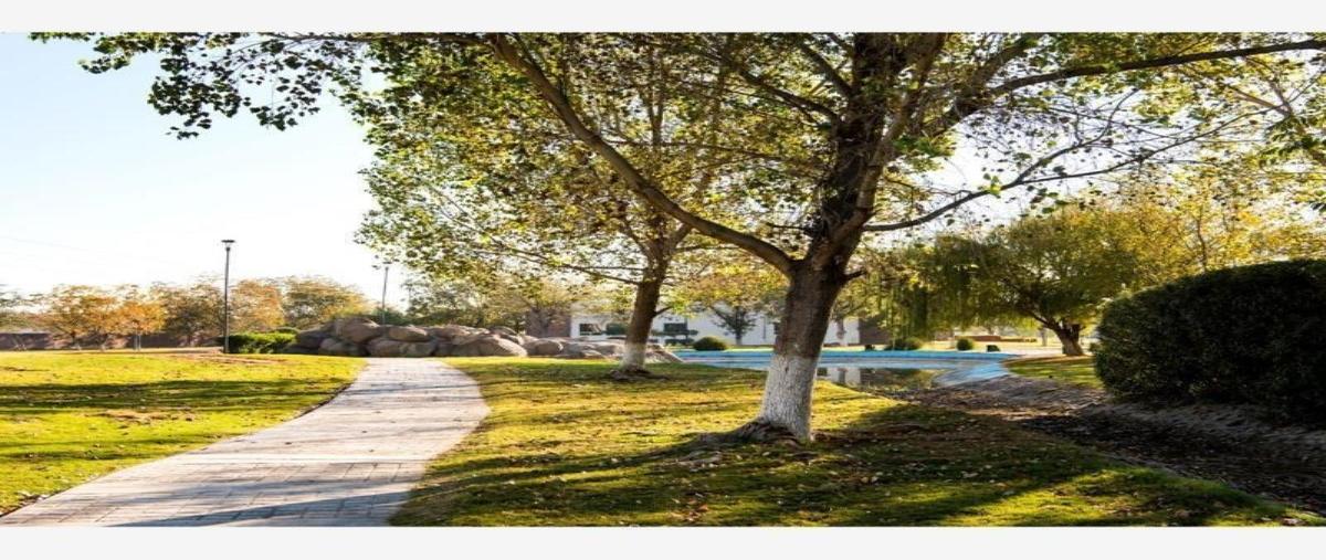 Foto de terreno habitacional en venta en las trojes 0, las trojes, torreón, coahuila de zaragoza, 26715646 No. 03
