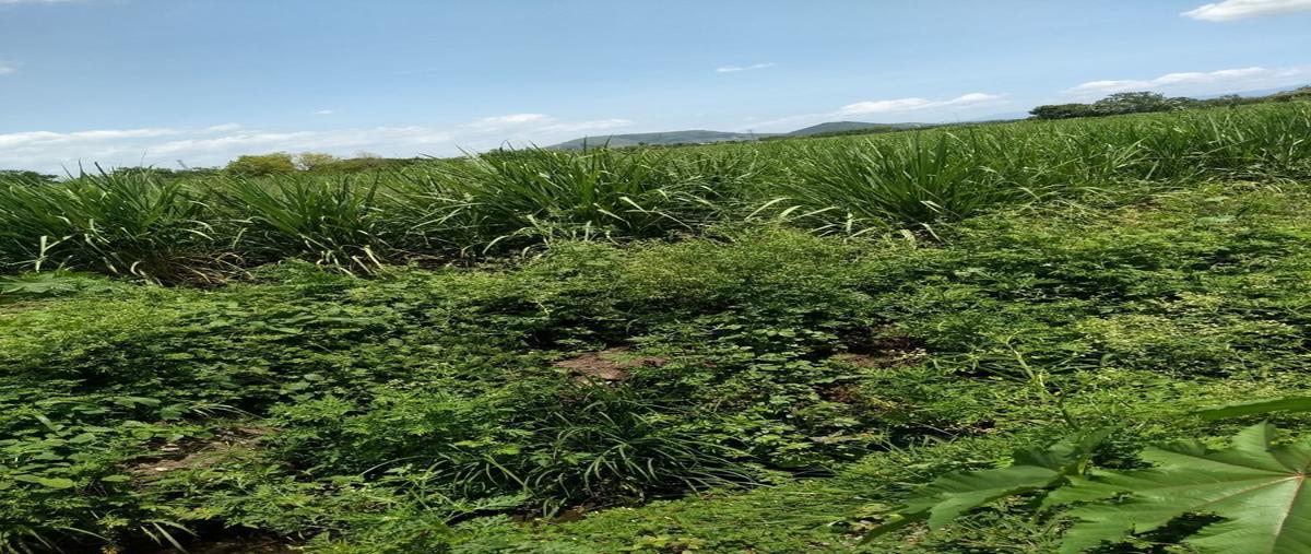 Foto de terreno habitacional en venta en las vajillas , xochitepec centro, xochitepec, morelos, 25435525 No. 03