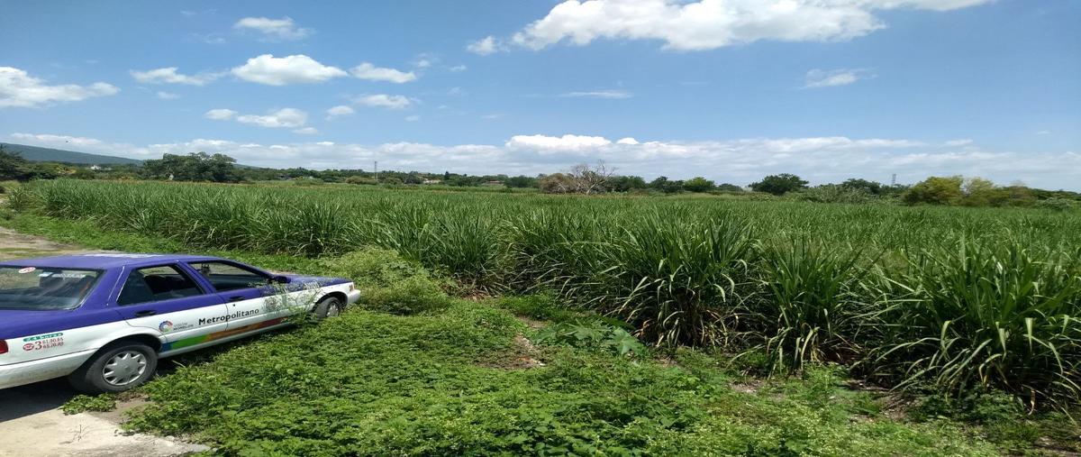Foto de terreno habitacional en venta en las vajillas , xochitepec centro, xochitepec, morelos, 25435525 No. 05