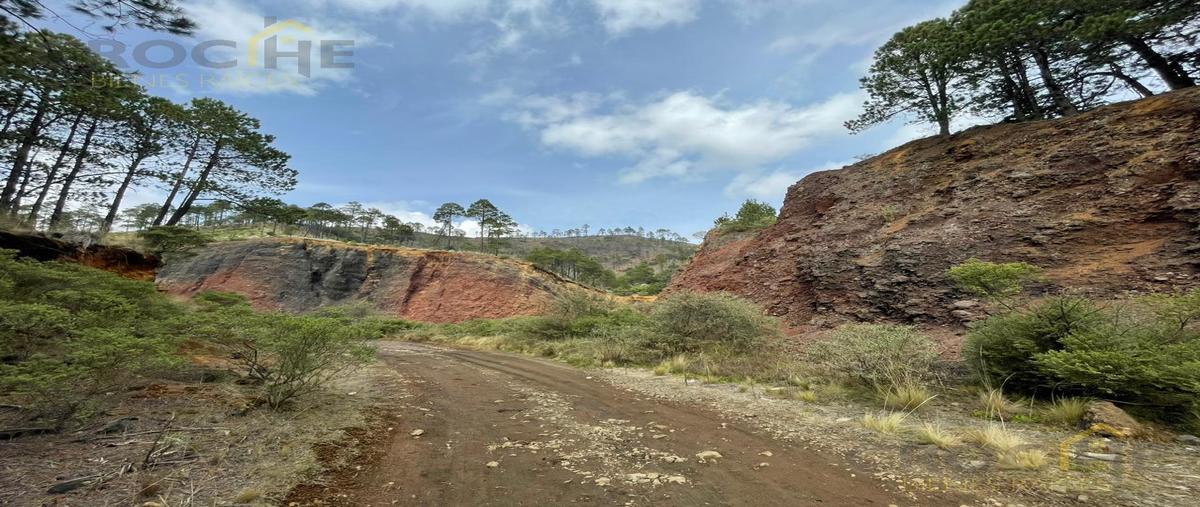Foto de terreno habitacional en venta en  , las vigas de ramirez, las vigas de ramírez, veracruz de ignacio de la llave, 0 No. 03