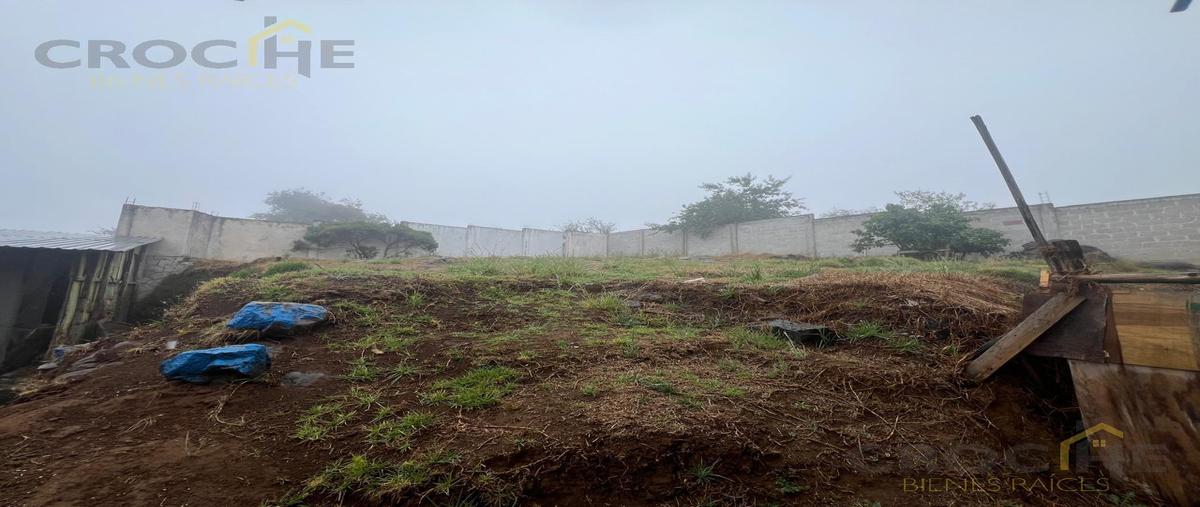 Foto de terreno habitacional en renta en  , las vigas de ramirez, las vigas de ramírez, veracruz de ignacio de la llave, 0 No. 04