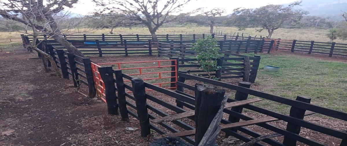 Foto de terreno habitacional en venta en  , las yucas, aldama, tamaulipas, 0 No. 03