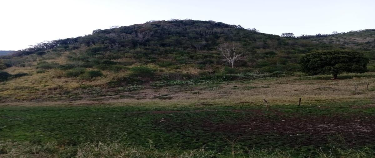 Foto de terreno habitacional en venta en  , las yucas, aldama, tamaulipas, 0 No. 04