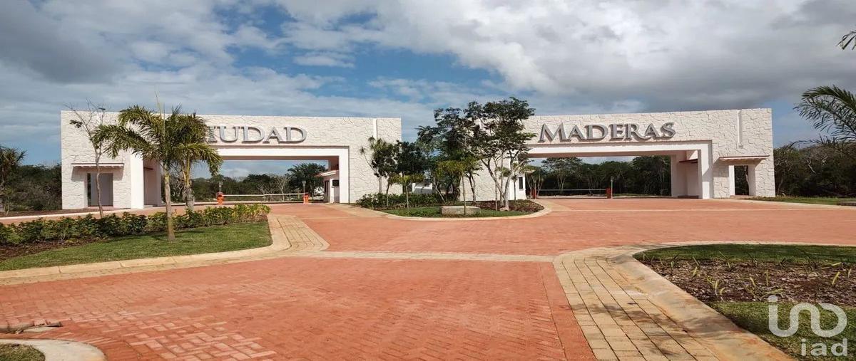 Foto de terreno habitacional en venta en latania 180, chelem, progreso, yucatán, 30484688 No. 04