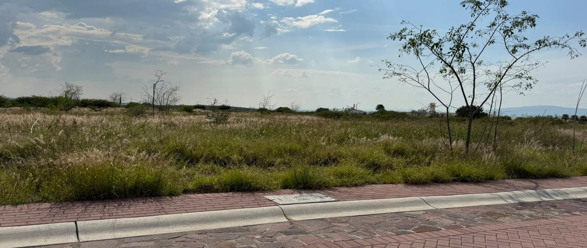 Foto de terreno habitacional en venta en latania , el llanito, apaseo el alto, guanajuato, 31718050 No. 04