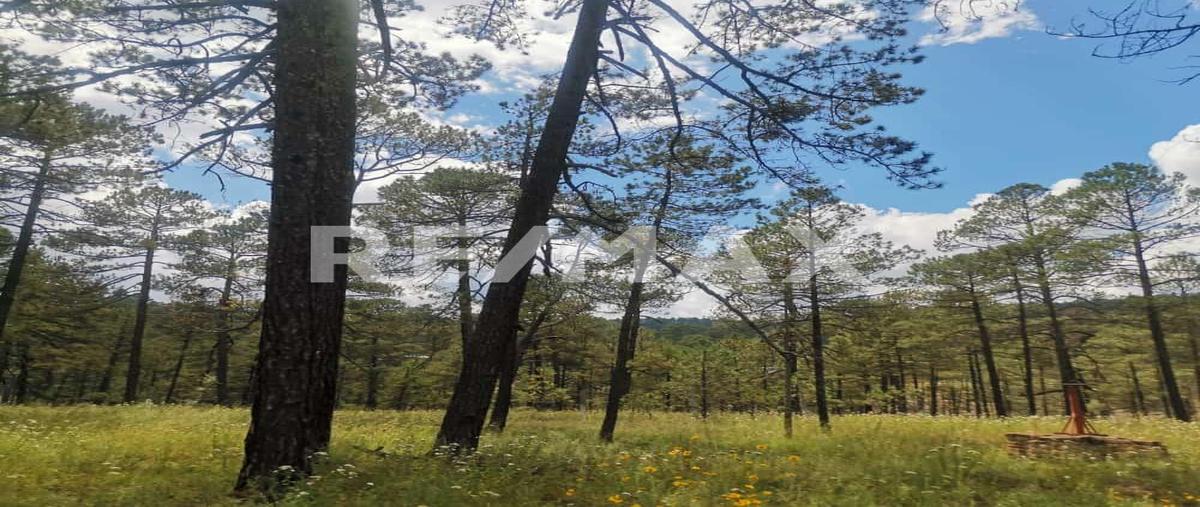 Foto de casa en laurel , fraccionamiento campestre residencial navíos, durango, durango, 28463432 foto 03 Foto de casa en venta en laurel , fraccionamiento campestre residencial navíos, durango, durango, 28463432 No. 03