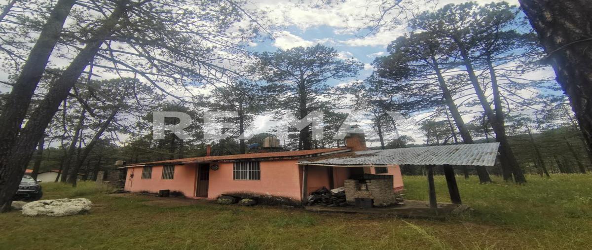 Foto de casa en laurel , fraccionamiento campestre residencial navíos, durango, durango, 28463432 foto 04 Foto de casa en venta en laurel , fraccionamiento campestre residencial navíos, durango, durango, 28463432 No. 04