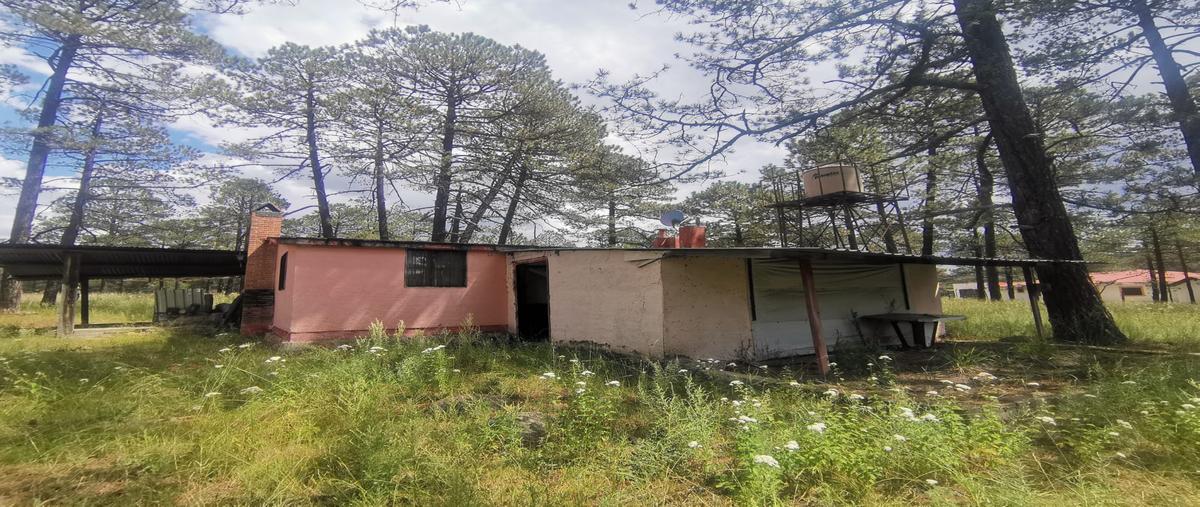 Foto de casa en laurel , fraccionamiento campestre residencial navíos, durango, durango, 28463432 foto 05 Foto de casa en venta en laurel , fraccionamiento campestre residencial navíos, durango, durango, 28463432 No. 05