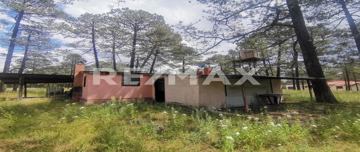 Foto de casa en laurel , fraccionamiento campestre residencial navíos, durango, durango, 28463432 foto 05 Foto de casa en venta en laurel , fraccionamiento campestre residencial navíos, durango, durango, 28463432 No. 05