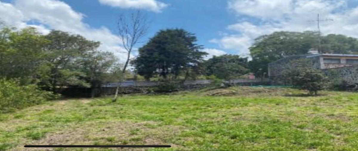 Foto de terreno habitacional en venta en laurel , nepantla de sor juana inés, tepetlixpa, méxico, 28400503 No. 04