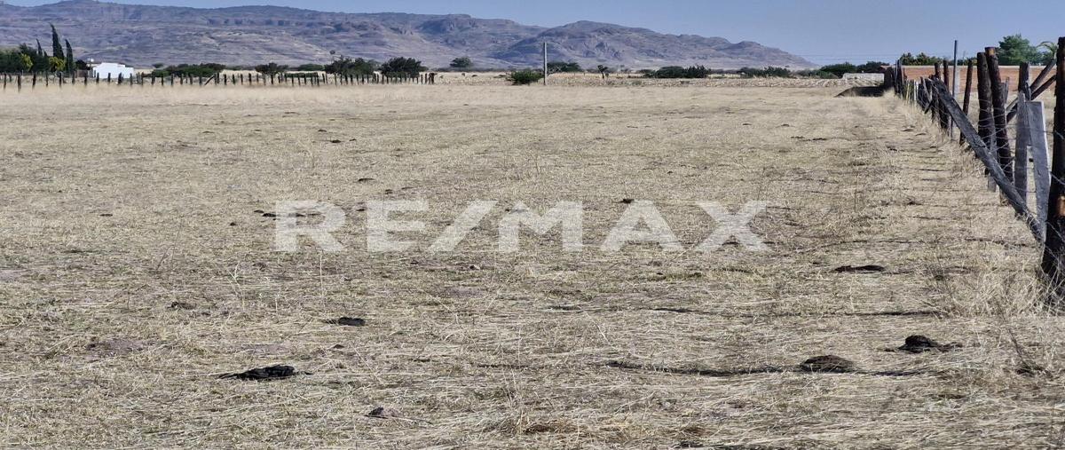 Foto de terreno habitacional en venta en laurel , san vicente de chupaderos, durango, durango, 0 No. 03
