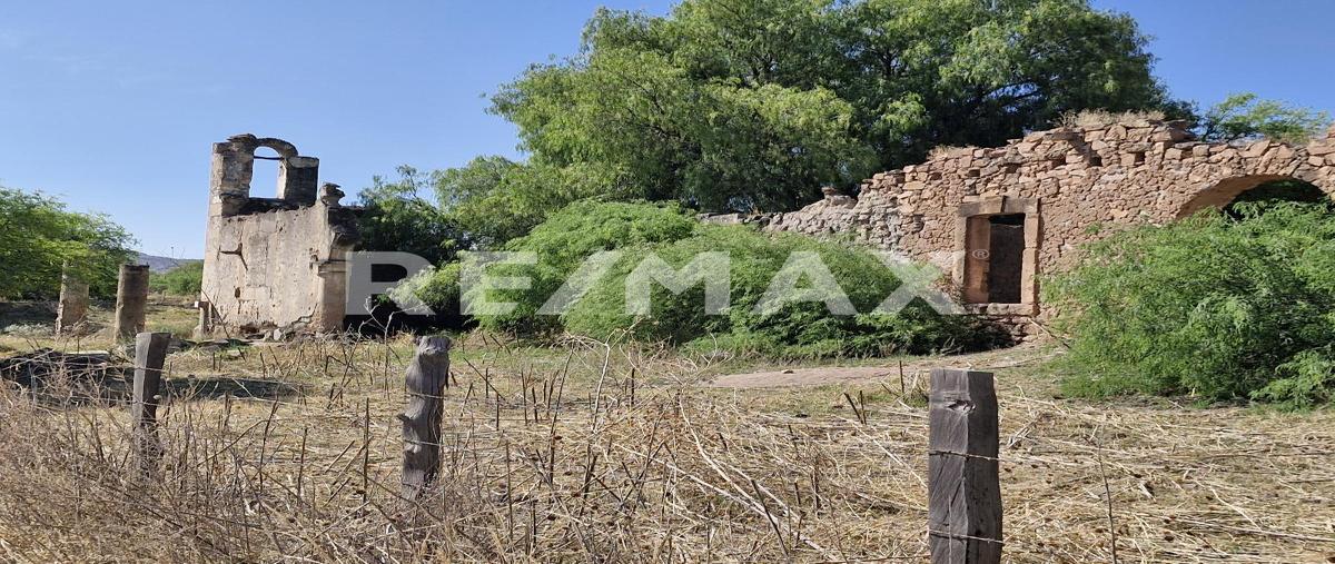 Foto de terreno habitacional en venta en laurel , san vicente de chupaderos, durango, durango, 0 No. 04