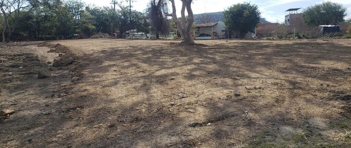 Foto de terreno habitacional en venta en laurel , santa cruz de la soledad, chapala, jalisco, 0 No. 03
