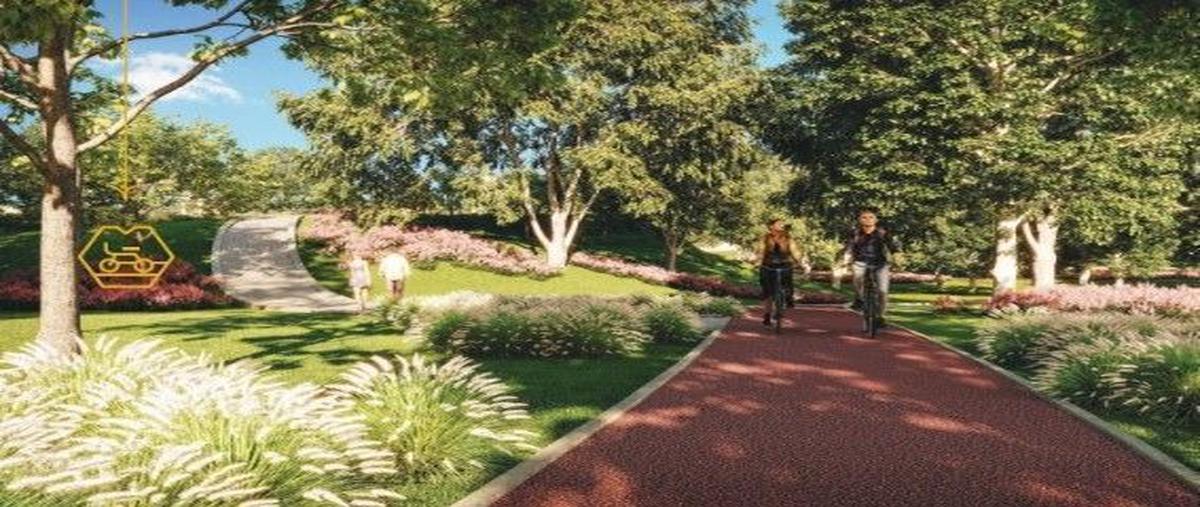 Foto de terreno habitacional en venta en lazarillos de abajo, allende, nuevo león , lazarillos de abajo, allende, nuevo león, 25748673 No. 05