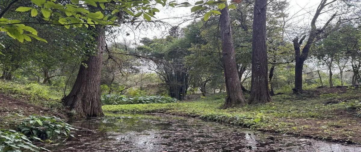 Foto de rancho en , lazarillos de arriba, allende, nuevo león, 31056526 foto 05 Foto de rancho en venta en , lazarillos de arriba, allende, nuevo león, 31056526 No. 05