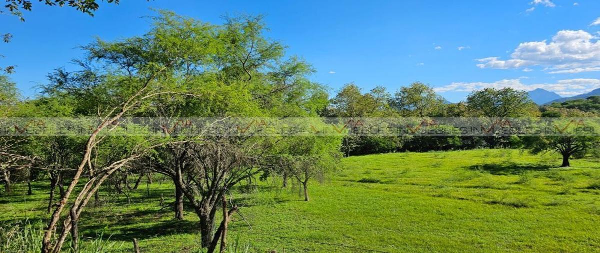 Foto de terreno habitacional en venta en lazarillos de arriba , lazarillos de arriba, allende, nuevo león, 28267985 No. 08