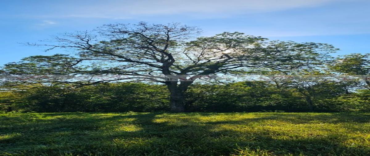 Foto de terreno habitacional en venta en lazarillos de arriba , lazarillos de arriba, allende, nuevo león, 28267985 No. 09