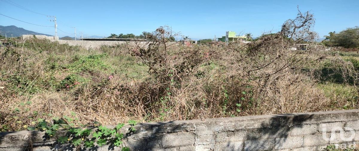 Foto de terreno comercial en lazaro cardenas 402, tabacalera, bahía de banderas, nayarit, 30555671 foto 05 Foto de terreno comercial en venta en lazaro cardenas 402, tabacalera, bahía de banderas, nayarit, 30555671 No. 05