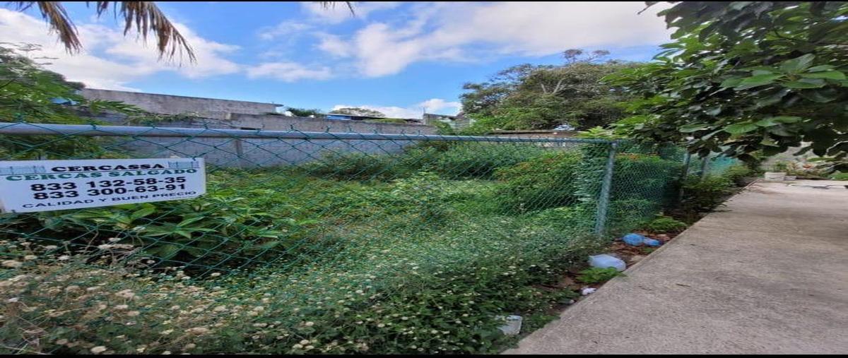 Foto de terreno habitacional en venta en  , lázaro cárdenas, ciudad madero, tamaulipas, 0 No. 03