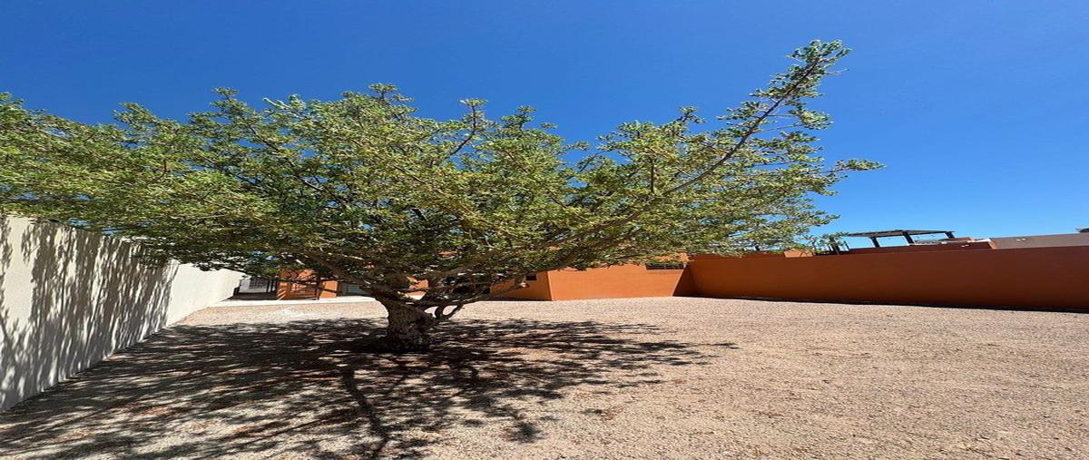 Foto de casa en renta en lazaro cardenas , el centenario, la paz, baja california sur, 0 No. 04