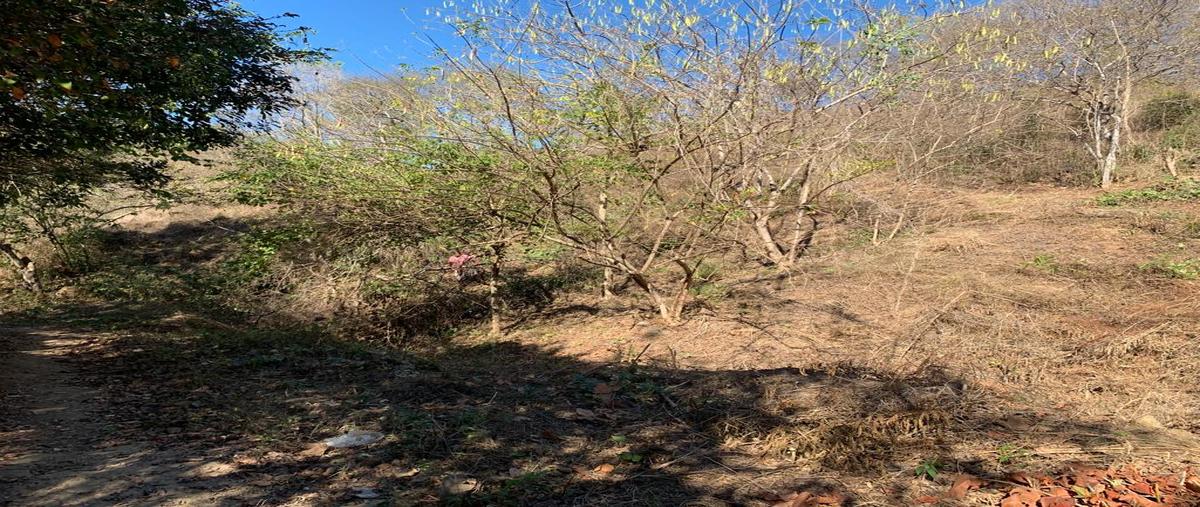 Foto de terreno comercial en lázaro cardenas , libertad, san pedro mixtepec -dto. 22 -, oaxaca, 26433554 foto 04 Foto de terreno comercial en venta en lázaro cardenas , libertad, san pedro mixtepec -dto. 22 -, oaxaca, 26433554 No. 04