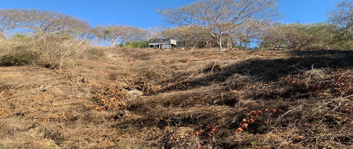 Foto de terreno comercial en lázaro cardenas , libertad, san pedro mixtepec -dto. 22 -, oaxaca, 26433554 foto 05 Foto de terreno comercial en venta en lázaro cardenas , libertad, san pedro mixtepec -dto. 22 -, oaxaca, 26433554 No. 05