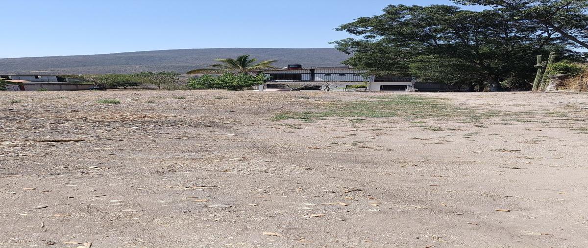 Foto de terreno habitacional en venta en lazaro cardenas , loma bonita, ayala, morelos, 0 No. 03