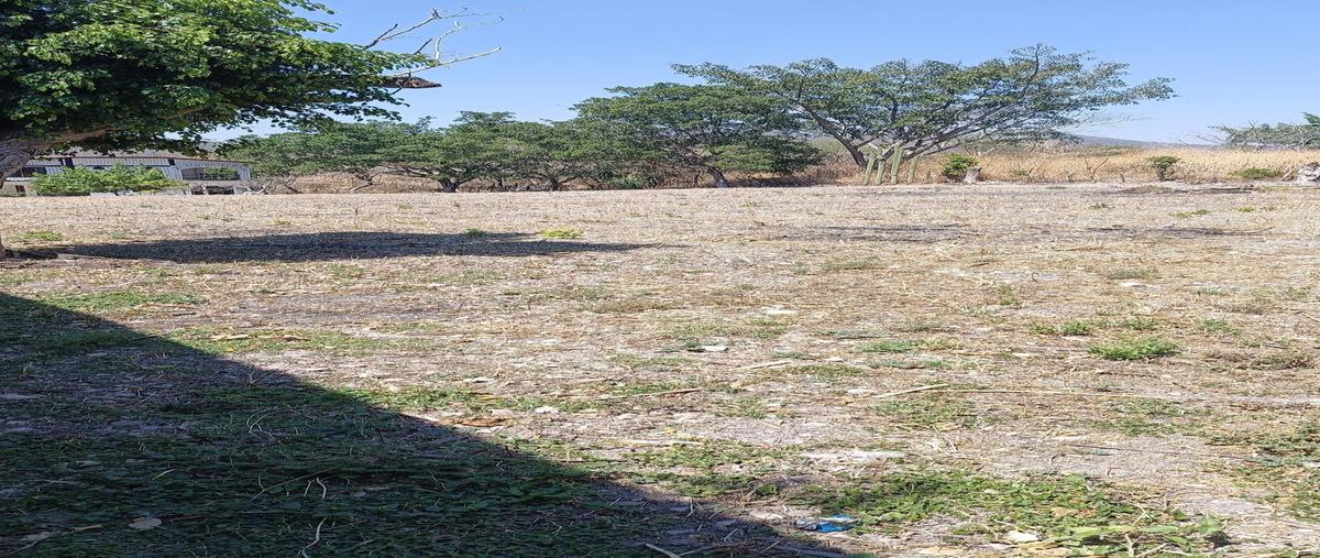 Foto de terreno habitacional en venta en lazaro cardenas , loma bonita, ayala, morelos, 0 No. 04