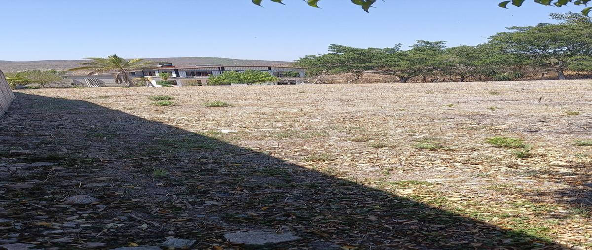 Foto de terreno habitacional en venta en lazaro cardenas , loma bonita, ayala, morelos, 0 No. 05