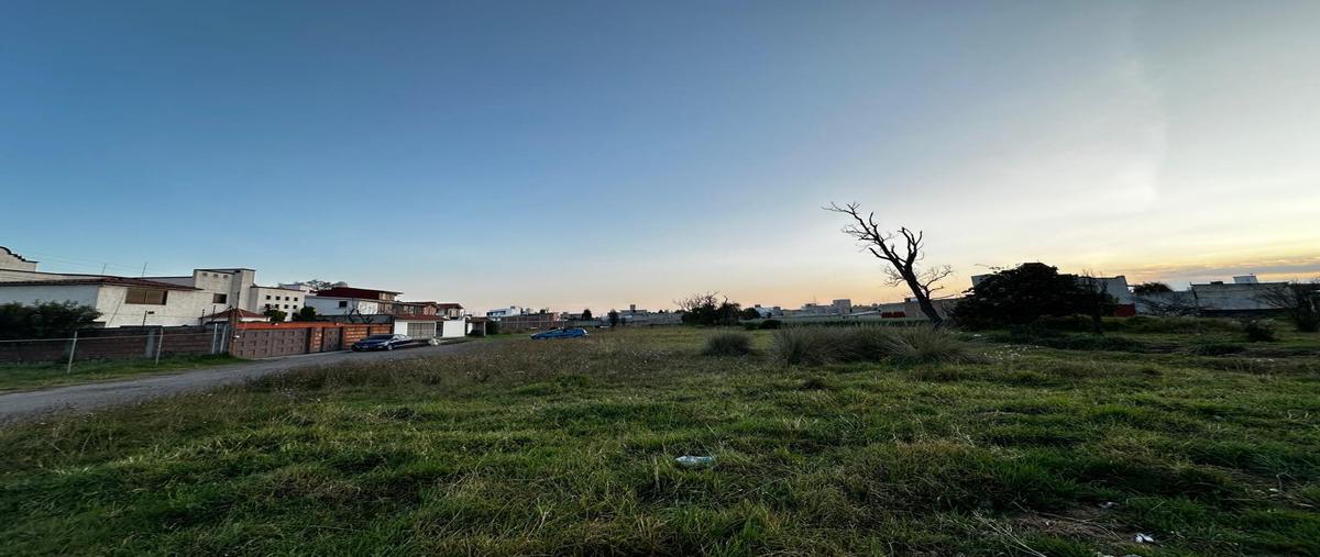 Foto de terreno habitacional en venta en  , lázaro cárdenas, metepec, méxico, 30238038 No. 03