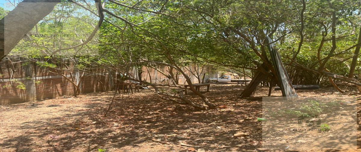 Foto de terreno habitacional en venta en  , lázaro cárdenas, santa maría colotepec, oaxaca, 0 No. 04