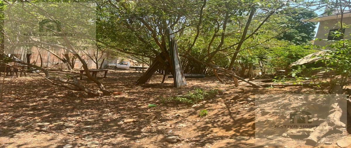 Foto de terreno habitacional en venta en  , lázaro cárdenas, santa maría colotepec, oaxaca, 0 No. 05