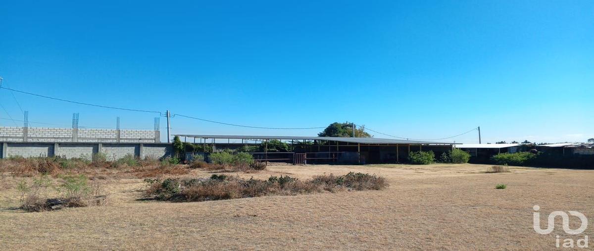 Foto de terreno habitacional en venta en lazaro cardenas sur 105, san bernabe temoxtitla, ocoyucan, puebla, 28990582 No. 04