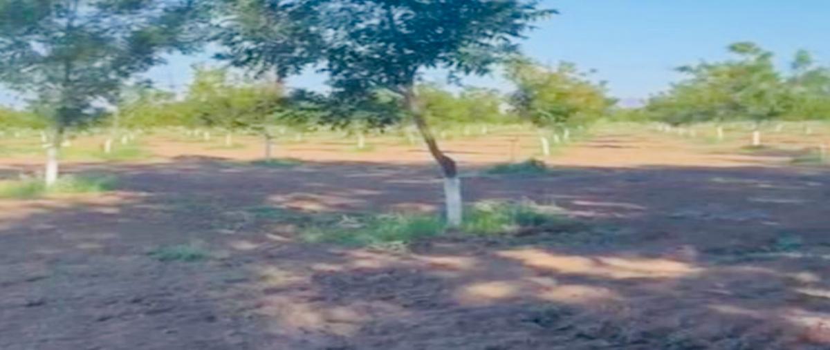 Foto de rancho en , lázaro cárdenas y etapas, chihuahua, chihuahua, 0 foto 02 Foto de rancho en venta en , lázaro cárdenas y etapas, chihuahua, chihuahua, 0 No. 02