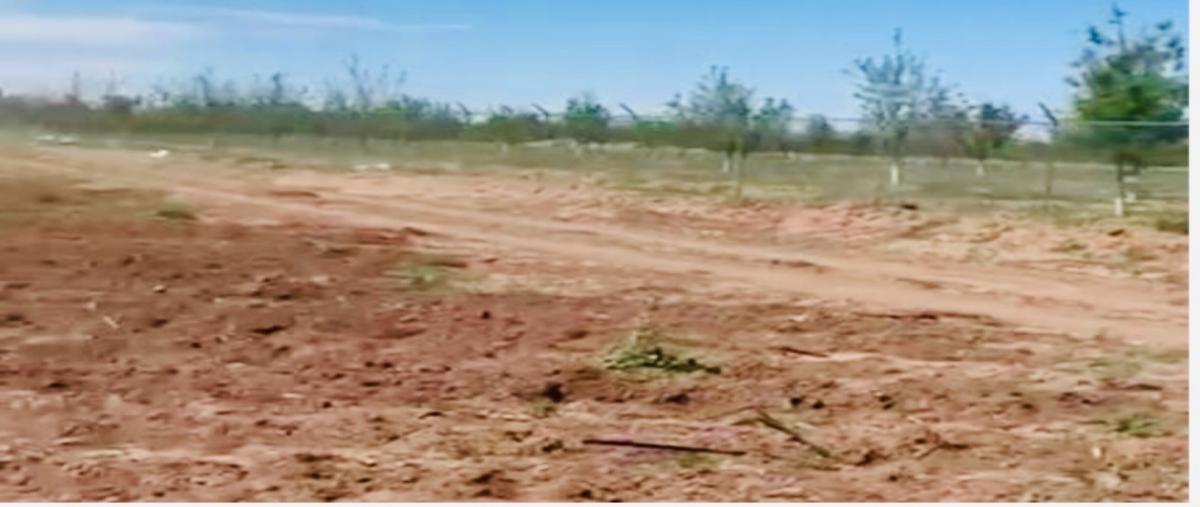 Foto de rancho en , lázaro cárdenas y etapas, chihuahua, chihuahua, 0 foto 03 Foto de rancho en venta en , lázaro cárdenas y etapas, chihuahua, chihuahua, 0 No. 03