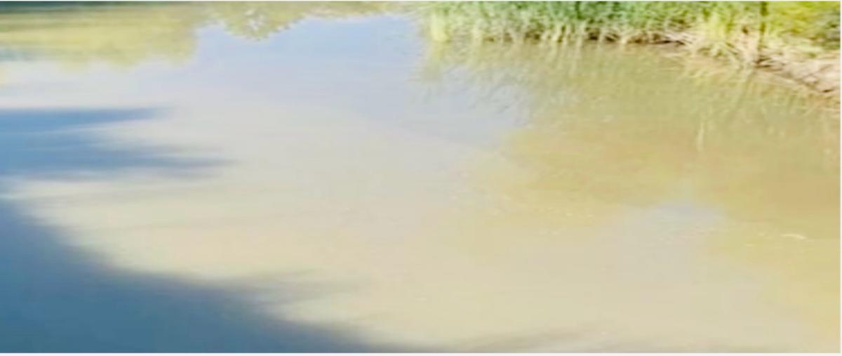 Foto de rancho en , lázaro cárdenas y etapas, chihuahua, chihuahua, 0 foto 05 Foto de rancho en venta en , lázaro cárdenas y etapas, chihuahua, chihuahua, 0 No. 05