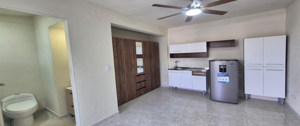 Foto de departamento en renta en  , lázaro garza ayala, san pedro garza garcía, nuevo león, 0 No. 03