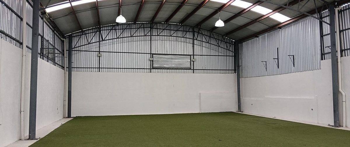 Foto de oficina en , leandro valle, mérida, yucatán, 28405876 foto 04 Foto de oficina en renta en , leandro valle, mérida, yucatán, 28405876 No. 04