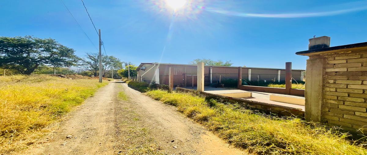 Foto de terreno habitacional en venta en leem bisa gueet , san agustin yatareni, san agustín yatareni, oaxaca, 30751862 No. 03