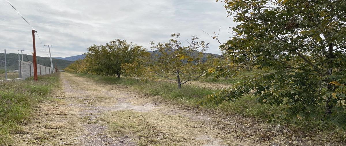 Foto de terreno comercial en venta en  , león guzmán, lerdo, durango, 31070143 No. 03