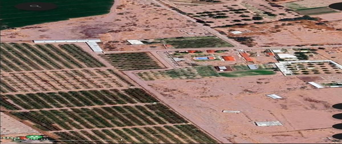Foto de terreno comercial en venta en  , león guzmán, lerdo, durango, 31070143 No. 04